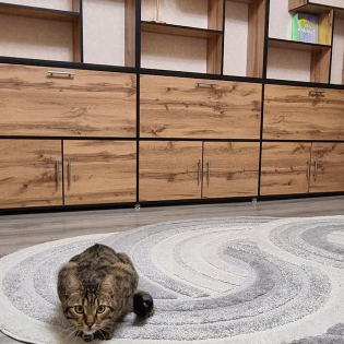 Тумба под стеллаж из маркетплэйса / Дорабатываем готовую мебель