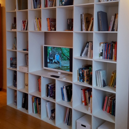 Стеллаж во всю стену с ТВ-нишей / Хранение и телевизор в одной системе